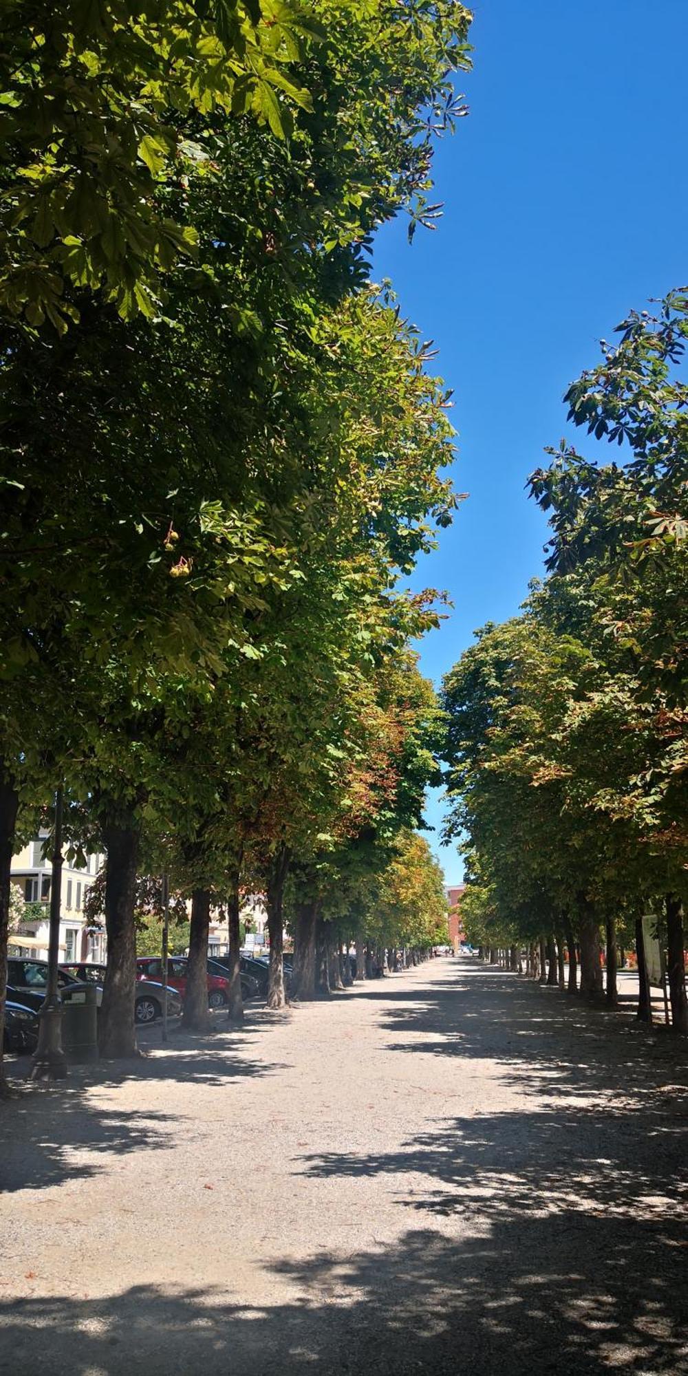 Vila Residenza Esse Angera Exteriér fotografie